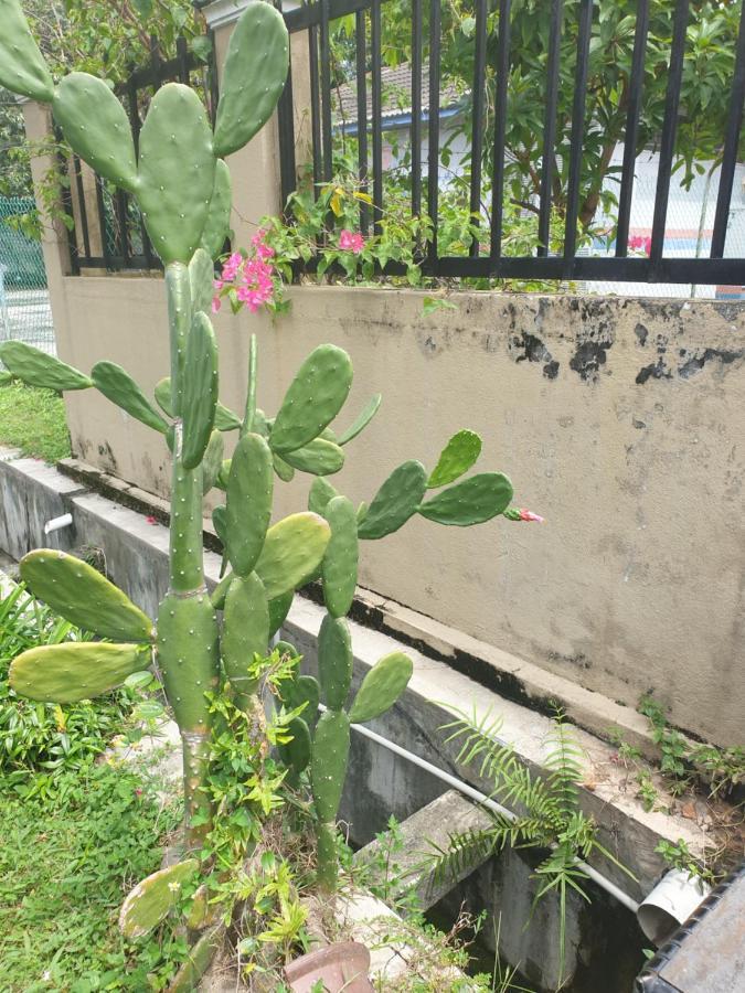 קאג'אנג Lavender Impian Homestay מראה חיצוני תמונה